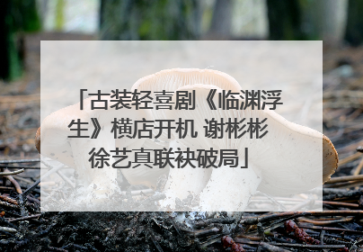 古装轻喜剧《临渊浮生》横店开机 谢彬彬徐艺真联袂破局