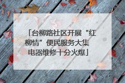 台柳路社区开展“红柳情”便民服务大集 电器维修十分火爆