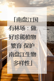 南盘江国有林场：做好珍稀植物繁育 保护南盘江生物多样性