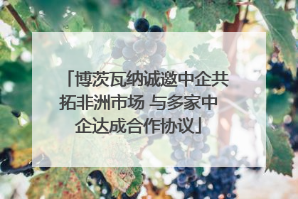 博茨瓦纳诚邀中企共拓非洲市场 与多家中企达成合作协议