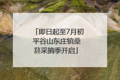 即日起至7月初 平谷山东庄镇桑葚采摘季开启