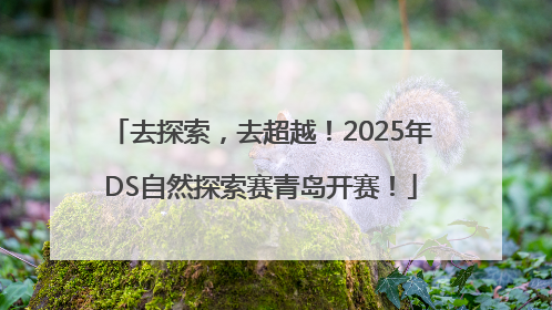 去探索，去超越！2025年DS自然探索赛青岛开赛！