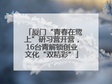 厦门“青春在鹭上”研习营开营，16台青解锁创业文化“双精彩”