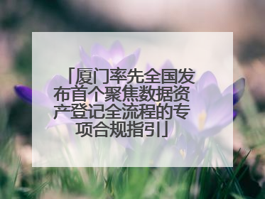厦门率先全国发布首个聚焦数据资产登记全流程的专项合规指引