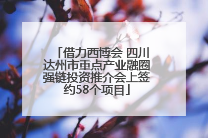 借力西博会 四川达州市重点产业融圈强链投资推介会上签约58个项目