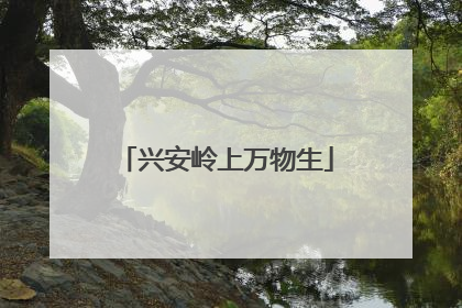 兴安岭上万物生