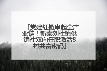 党建红链串起全产业链！新泰刘杜镇供销社双向任职激活8村共富密码