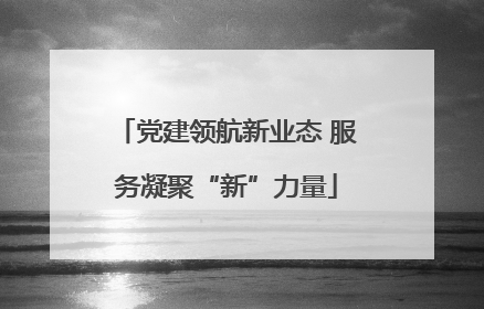 党建领航新业态 服务凝聚“新”力量