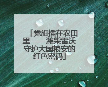 党旗插在农田里——潍柴雷沃守护大国粮安的红色密码