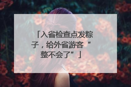 入省检查点发粽子，给外省游客“整不会了”