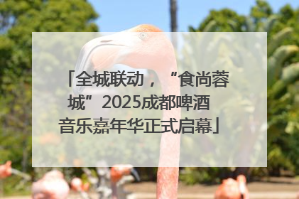 全城联动，“食尚蓉城”2025成都啤酒音乐嘉年华正式启幕