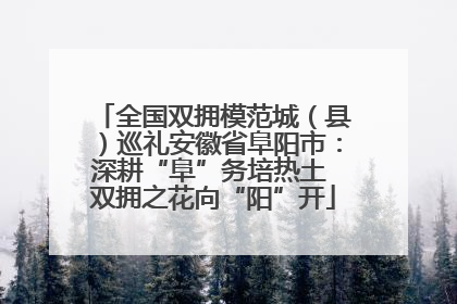 全国双拥模范城（县）巡礼安徽省阜阳市：深耕“阜”务培热土 双拥之花向“阳”开