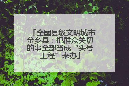 全国县级文明城市金乡县：把群众关切的事全部当成“头号工程”来办