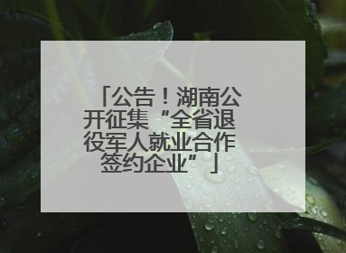 公告！湖南公开征集“全省退役军人就业合作签约企业”