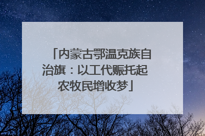 内蒙古鄂温克族自治旗：以工代赈托起农牧民增收梦