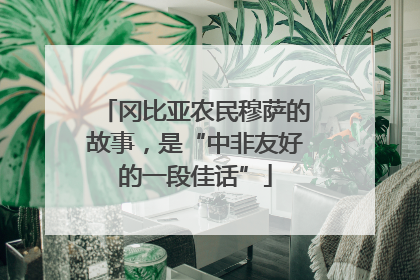 冈比亚农民穆萨的故事，是“中非友好的一段佳话”