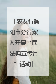 农发行衡阳市分行深入开展“民法典宣传月”活动