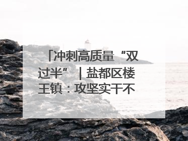 冲刺高质量“双过半”｜盐都区楼王镇：攻坚实干不停歇 奋力跑赢“上半场”