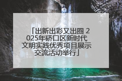出新出彩又出圈 2025年硚口区新时代文明实践优秀项目展示交流活动举行