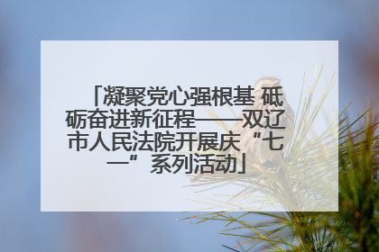 凝聚党心强根基 砥砺奋进新征程——双辽市人民法院开展庆“七一”系列活动