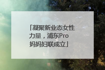 凝聚新业态女性力量，浦东Pro妈妈妇联成立