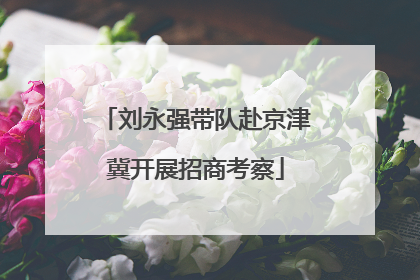 刘永强带队赴京津冀开展招商考察