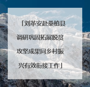 刘革安赴桑植县调研巩固拓展脱贫攻坚成果同乡村振兴有效衔接工作