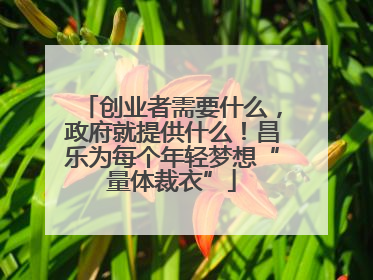 创业者需要什么，政府就提供什么！昌乐为每个年轻梦想“量体裁衣”