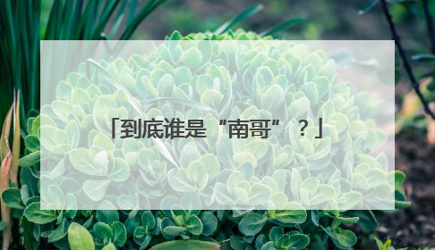 到底谁是“南哥”？