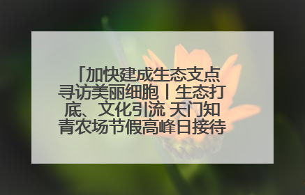 加快建成生态支点 寻访美丽细胞丨生态打底、文化引流 天门知青农场节假高峰日接待游客2万人次