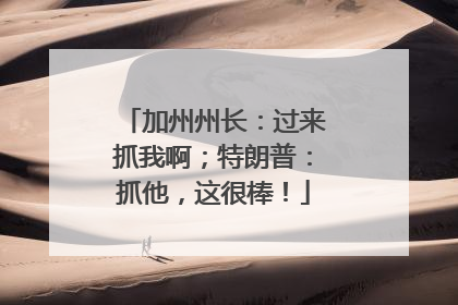 加州州长：过来抓我啊；特朗普：抓他，这很棒！