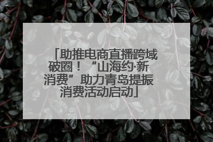 助推电商直播跨域破圈！“山海约·新消费”助力青岛提振消费活动启动