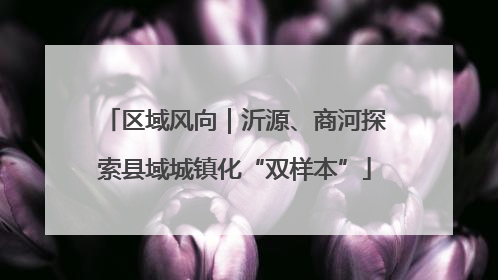 区域风向｜沂源、商河探索县域城镇化“双样本”