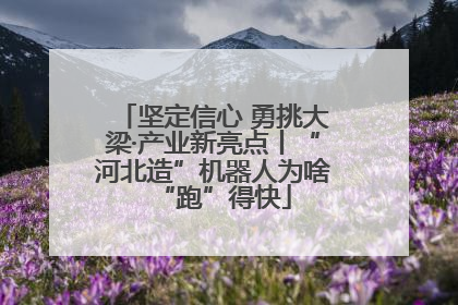 坚定信心 勇挑大梁·产业新亮点丨“河北造”机器人为啥“跑”得快