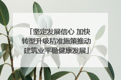坚定发展信心 加快转型升级精准施策推动建筑业平稳健康发展
