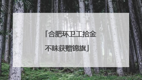 合肥环卫工拾金不昧获赠锦旗