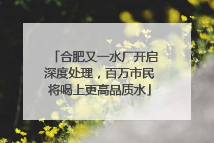 合肥又一水厂开启深度处理，百万市民将喝上更高品质水