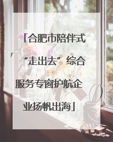 合肥市陪伴式“走出去”综合服务专窗护航企业扬帆出海
