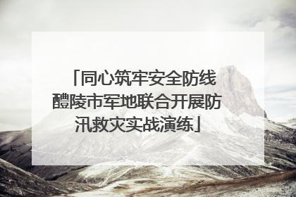 同心筑牢安全防线 醴陵市军地联合开展防汛救灾实战演练