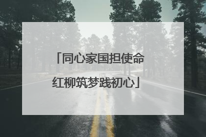 同心家国担使命 红柳筑梦践初心