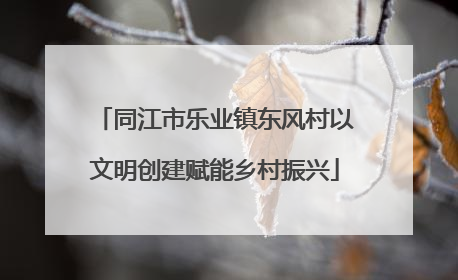 同江市乐业镇东风村以文明创建赋能乡村振兴