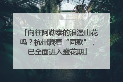 向往阿勒泰的浪漫山花吗？杭州藏着“同款”，已全面进入盛花期