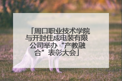 周口职业技术学院与开封住成电装有限 公司举办“产教融合”表彰大会