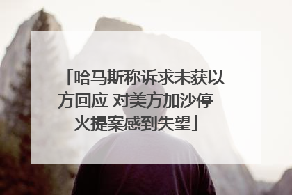 哈马斯称诉求未获以方回应 对美方加沙停火提案感到失望