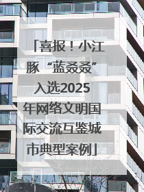 喜报！小江豚“蓝叒叒”入选2025年网络文明国际交流互鉴城市典型案例