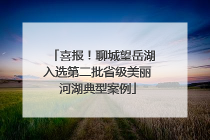 喜报！聊城望岳湖入选第二批省级美丽河湖典型案例