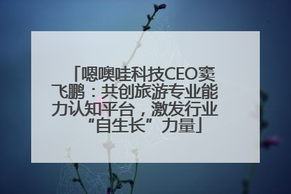 嗯噢哇科技CEO窦飞鹏：共创旅游专业能力认知平台，激发行业“自生长”力量