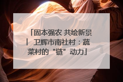 固本强农 共绘新景 ︳卫辉市南社村：蔬菜村的“链”动力