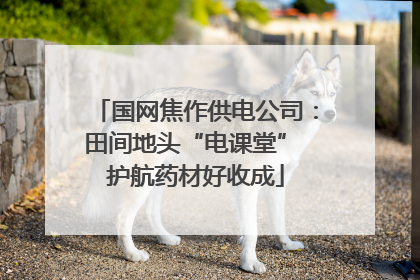 国网焦作供电公司：田间地头“电课堂” 护航药材好收成