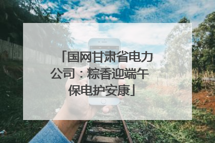 国网甘肃省电力公司：粽香迎端午 保电护安康